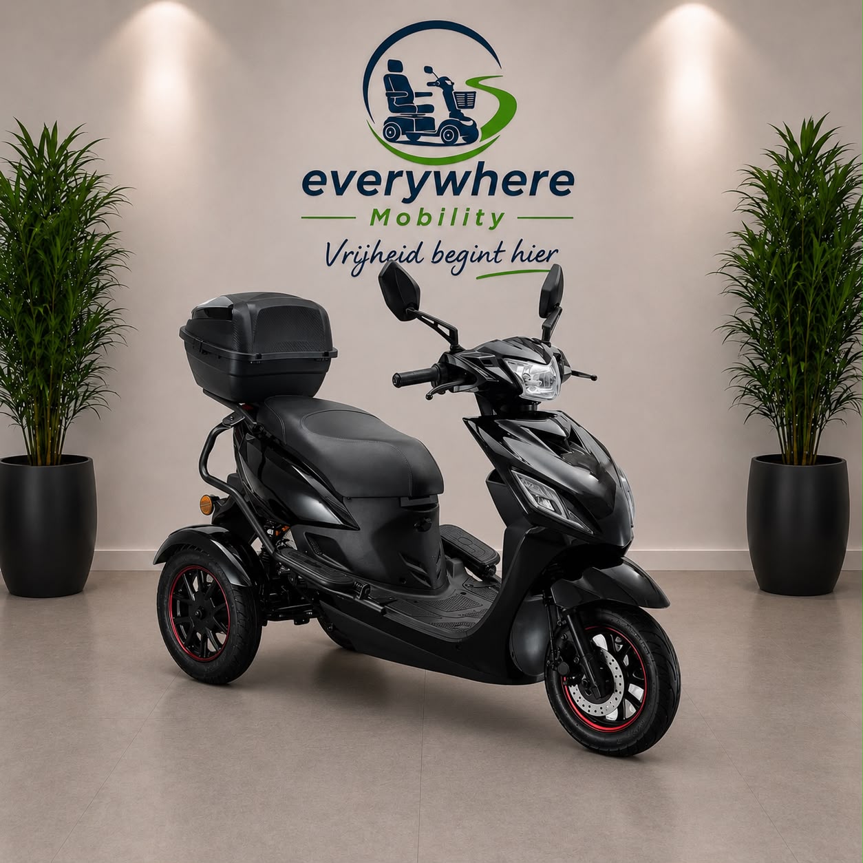 🛵 IVA T3 2.0 - Afbeelding 2