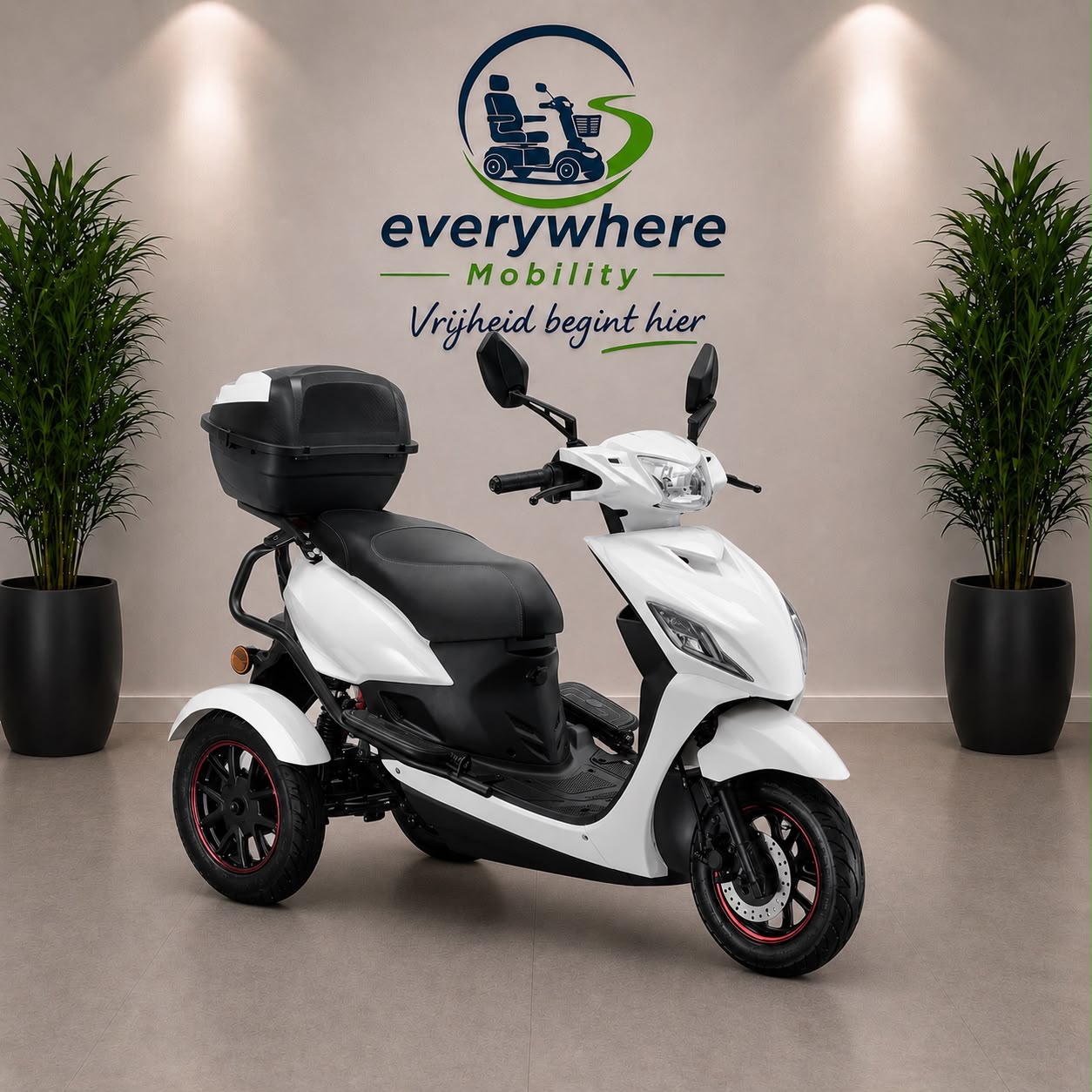 🛵 IVA T3 2.0 - Afbeelding 3